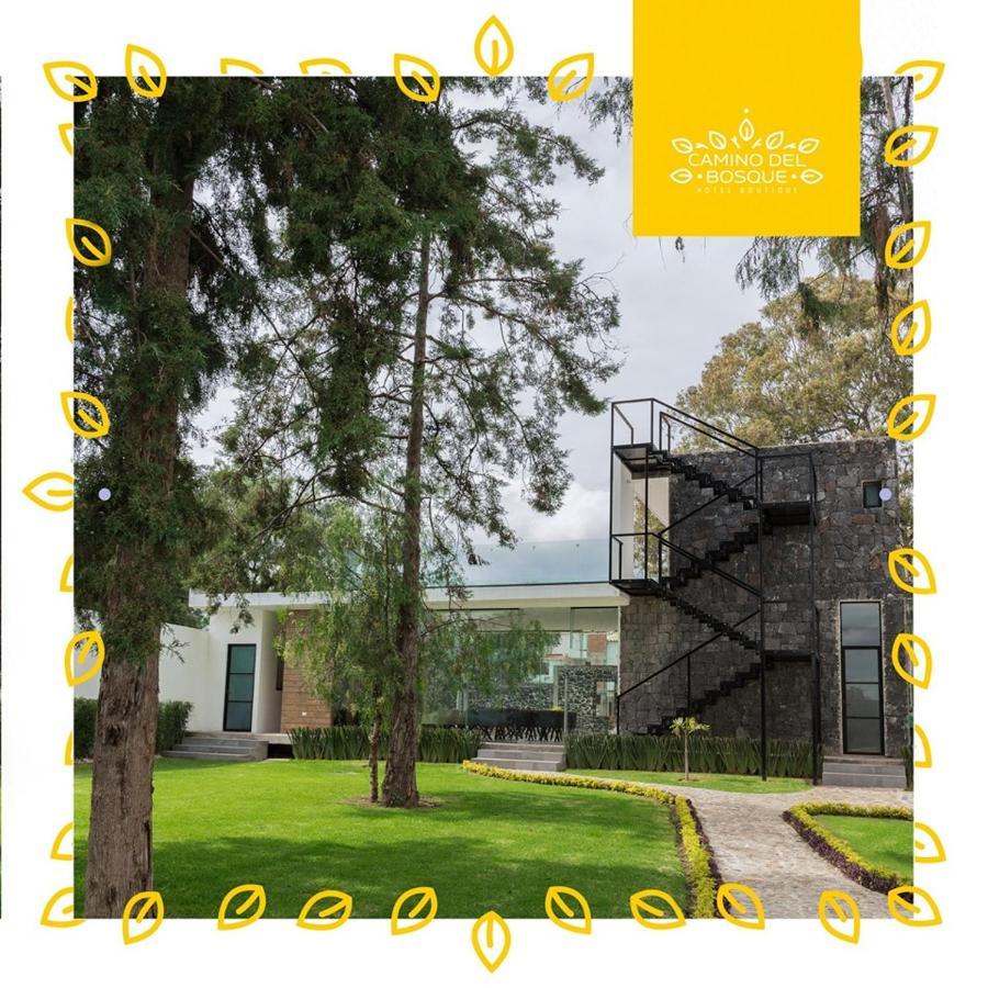 Hotel Boutique Camino Del Bosque By Rotamundos تشولولا المظهر الخارجي الصورة