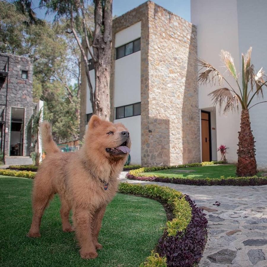 Hotel Boutique Camino Del Bosque By Rotamundos تشولولا المظهر الخارجي الصورة