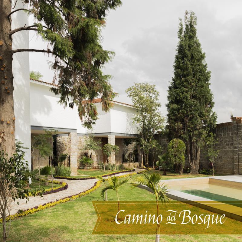 Hotel Boutique Camino Del Bosque By Rotamundos تشولولا المظهر الخارجي الصورة